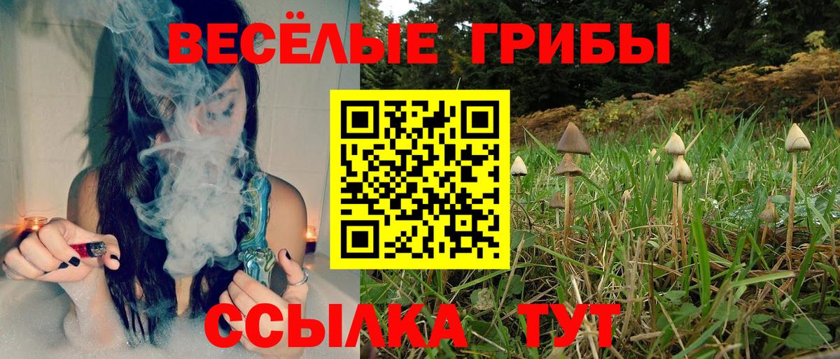 Галлюциногенные грибы мицелий  Вход с VPN  купить наркоту  Обнинск 